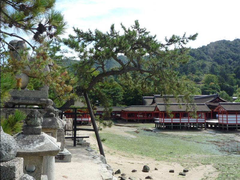 Miyajima47