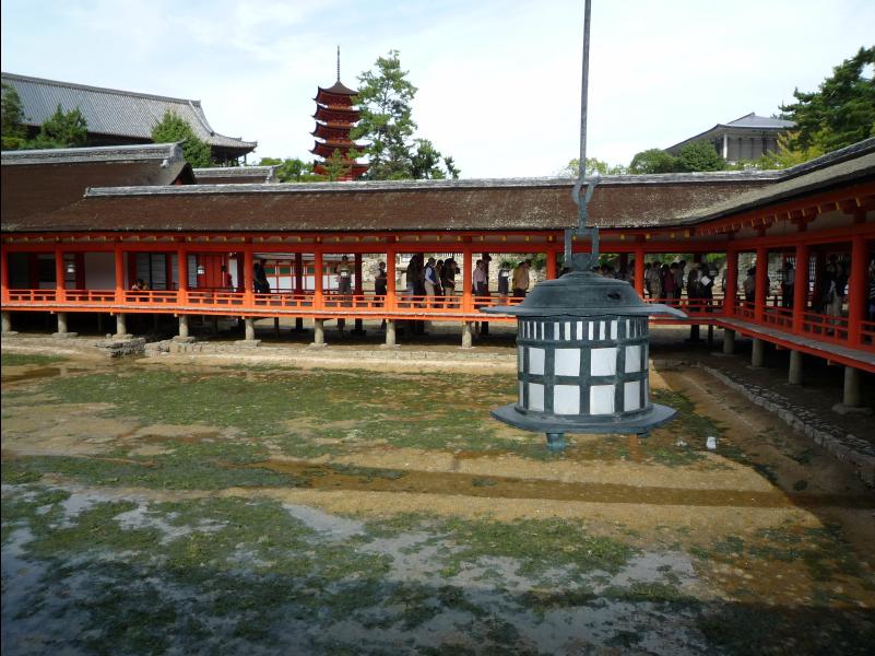 Miyajima71