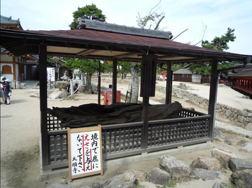 Miyajima84