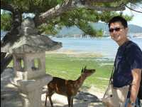 Miyajima36