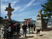 Miyajima38