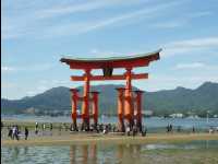 Miyajima40