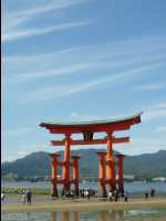 Miyajima41