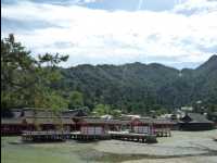 Miyajima45
