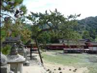 Miyajima47
