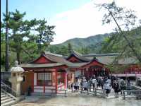 Miyajima49