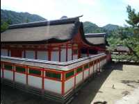 Miyajima52