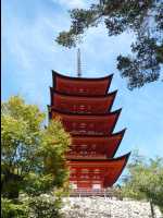 Miyajima53