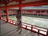 Miyajima67