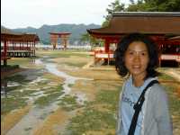 Miyajima69