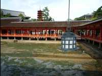 Miyajima71