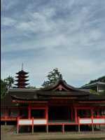 Miyajima73