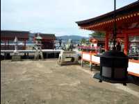 Miyajima81