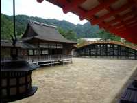 Miyajima82