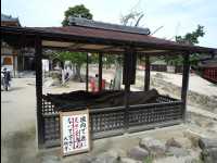 Miyajima84