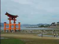 Miyajima86