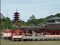 Miyajima89
