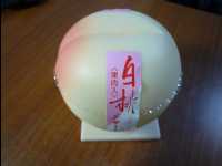 Okayama20