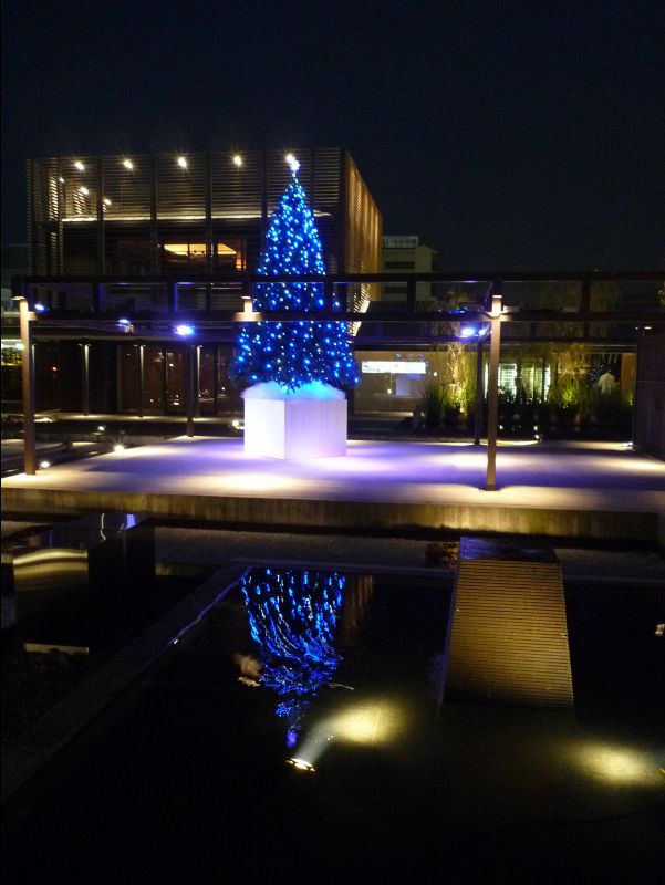 Kyoto12