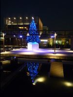 Kyoto12