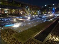 Kyoto13
