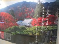 Kyoto22