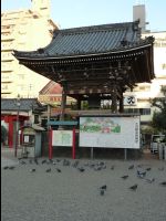 Nagoya19