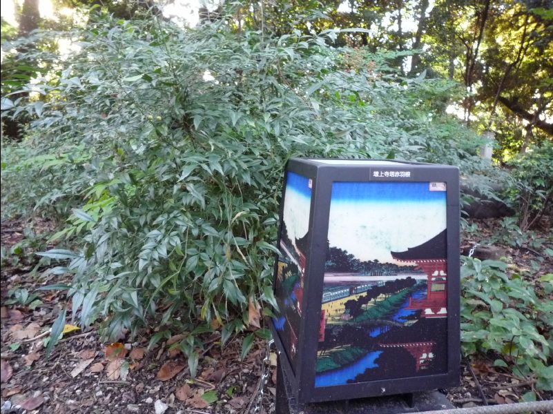 Ueno_Park02