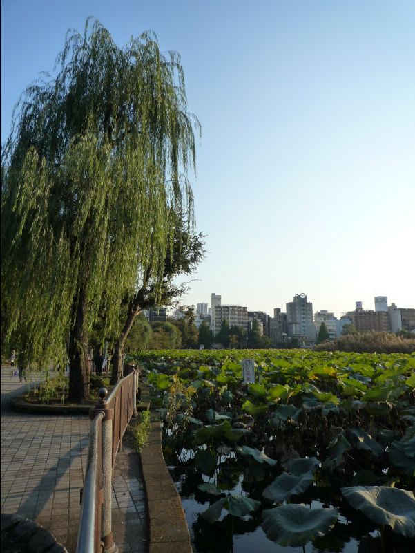 Ueno_Park03