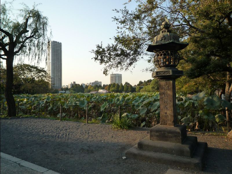 Ueno_Park04