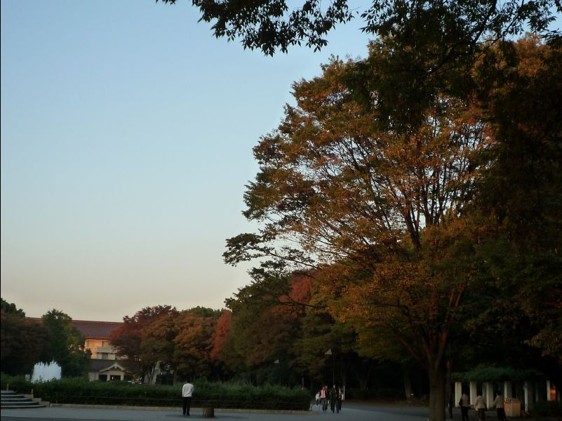 Ueno_Park17