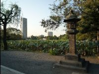 Ueno_Park04