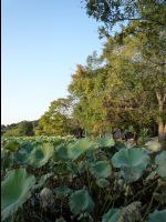 Ueno_Park05