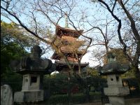 Ueno_Park06