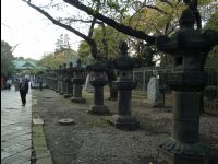 Ueno_Park09