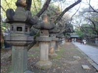 Ueno_Park10