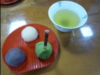 Ueno_Park11