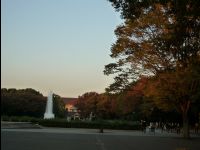 Ueno_Park15