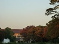 Ueno_Park16