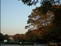 Ueno_Park17