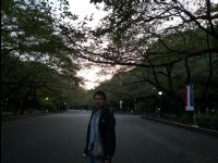 Ueno_Park18