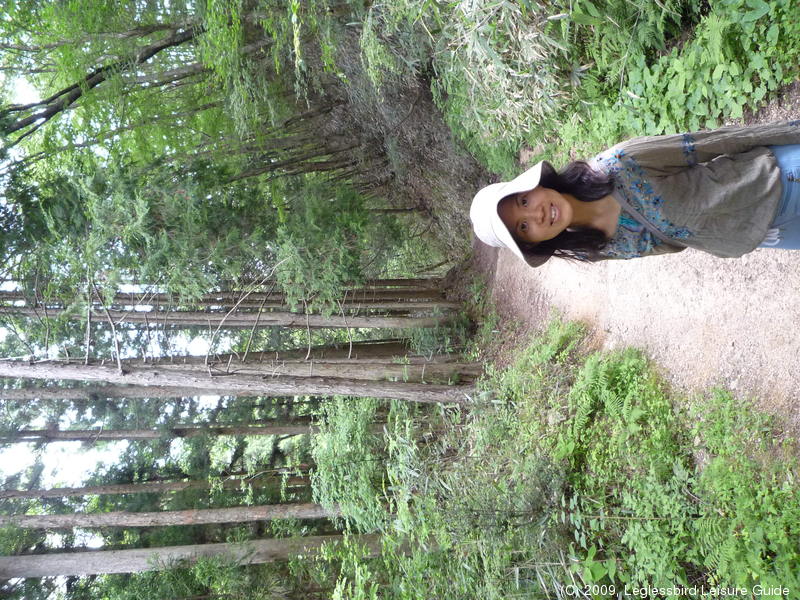 Magome_to_Tsumago20