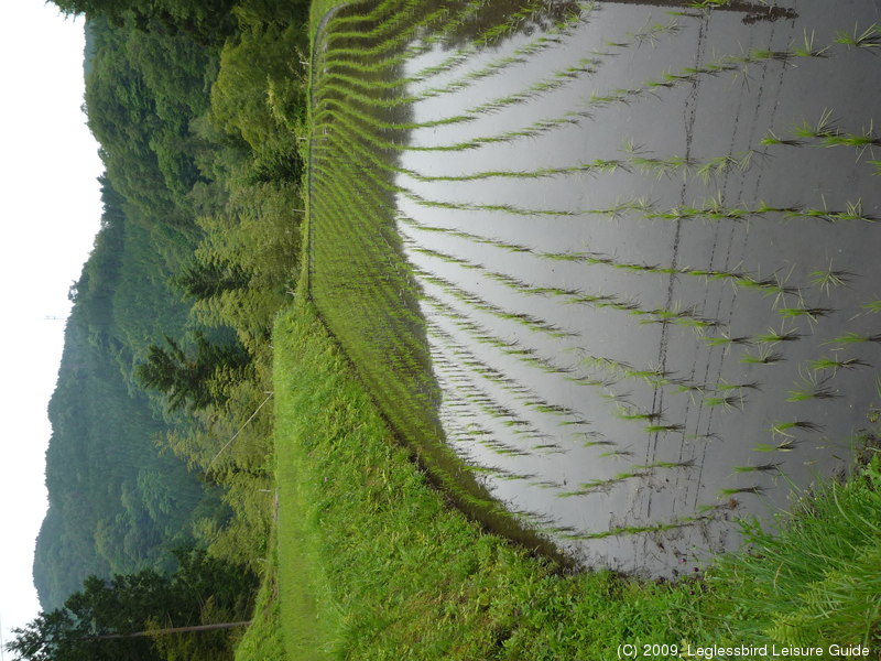 Magome_to_Tsumago24