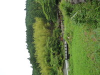 Magome_to_Tsumago17