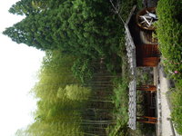 Magome_to_Tsumago19