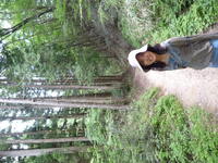 Magome_to_Tsumago20