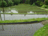 Magome_to_Tsumago23