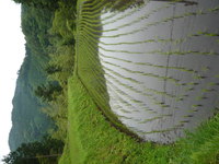 Magome_to_Tsumago24