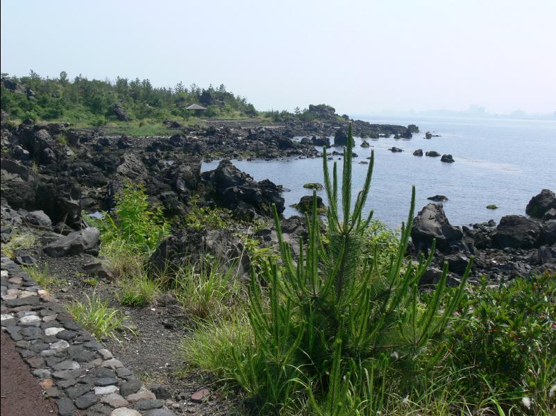 Sakurajima42