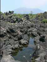 Sakurajima36